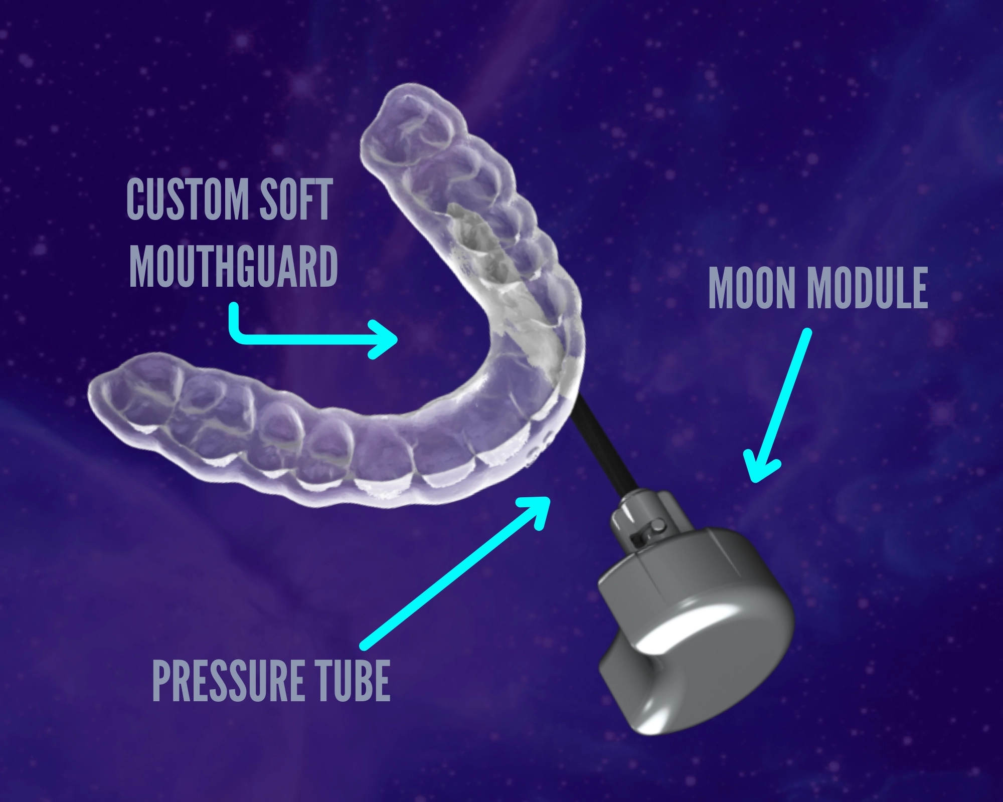 HomeCopy001 HomeCopy001