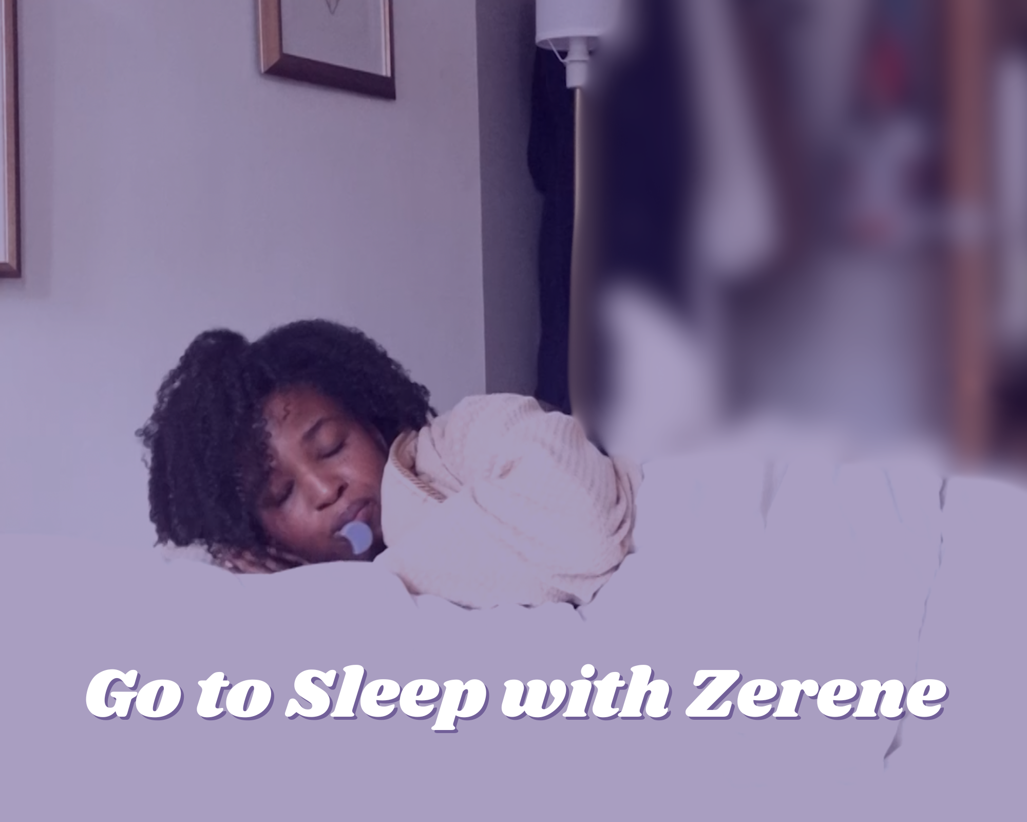 Zerene Data & Training Bundle