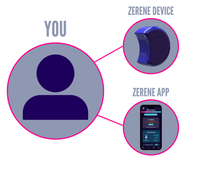 Zerene - landing page images