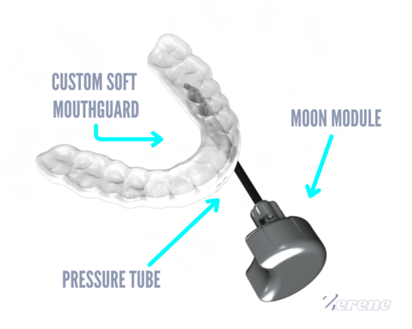 Zerene - homepage - device image (5)
