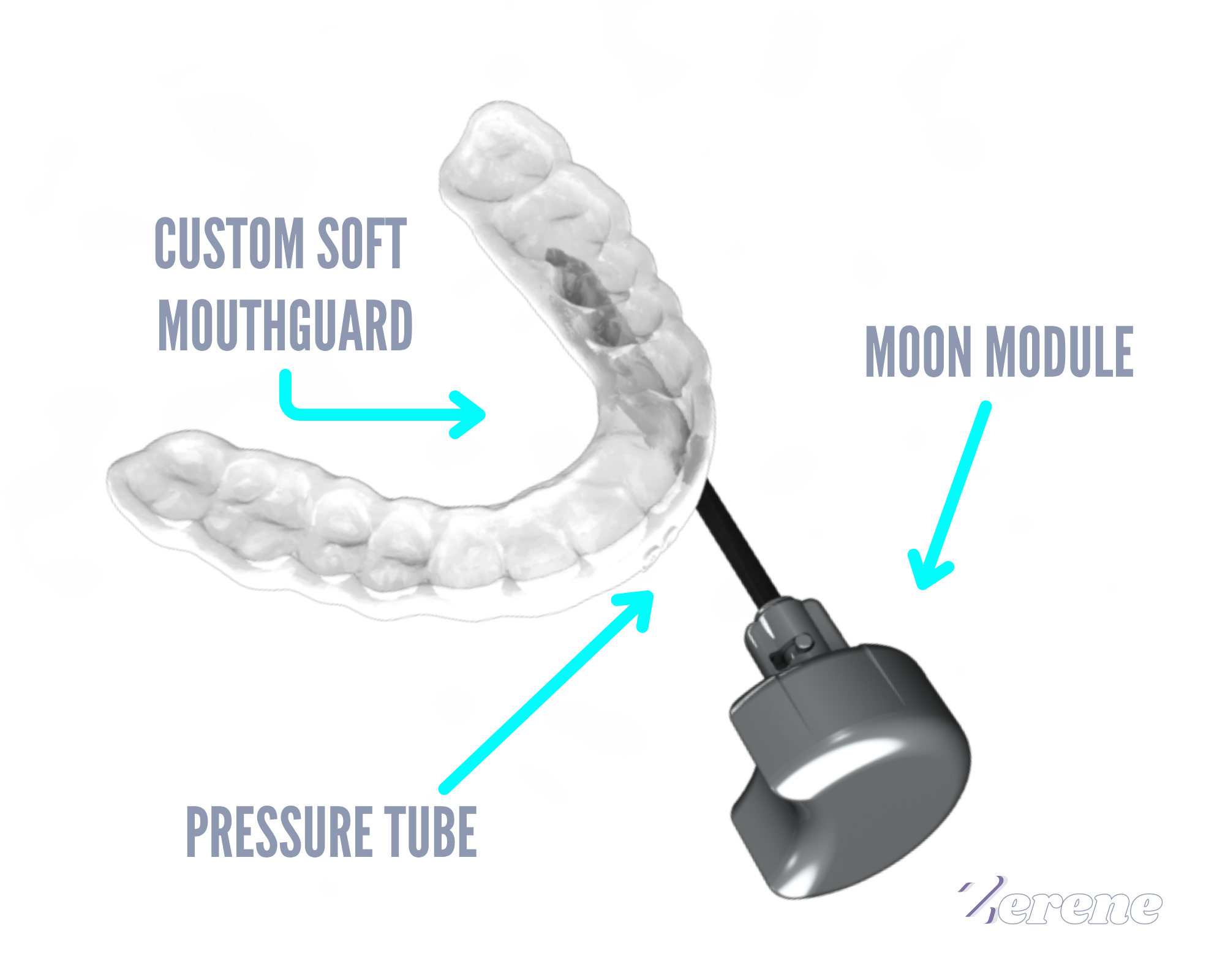 Zerene - homepage - device image (5)